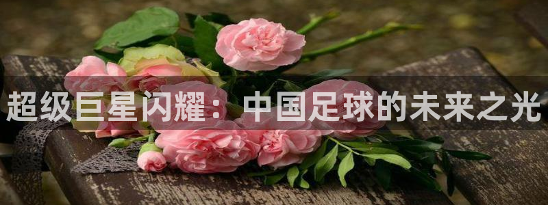 超级巨星闪耀：中国足球的未来之光