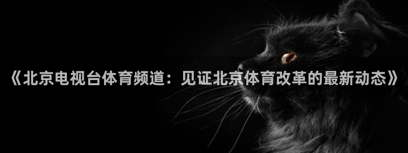 《北京电视台体育频道：见证北京体育改革的最新动态》