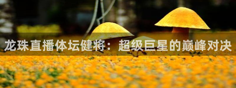 龙珠直播体坛健将：超级巨星的巅峰对决