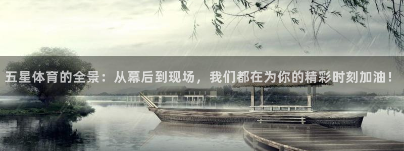 五星体育的全景：从幕后到现场，我们都在为你的精彩时刻加油！