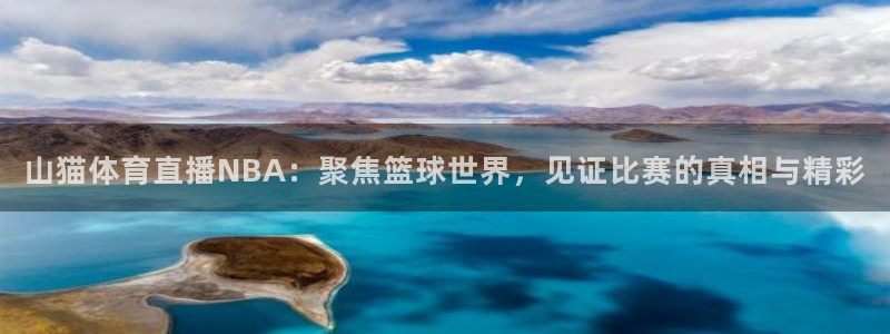 山猫体育直播NBA：聚焦篮球世界，见证比赛的真相与精彩
