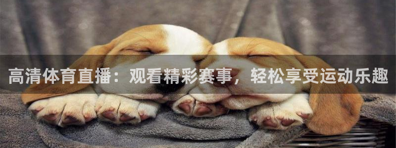 高清体育直播：观看精彩赛事，轻松享受运动乐趣
