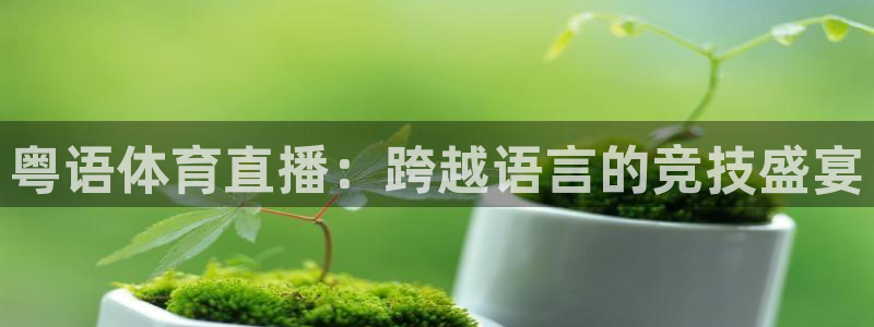粤语体育直播：跨越语言的竞技盛宴