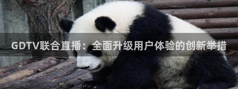 GDTV联合直播：全面升级用户体验的创新举措