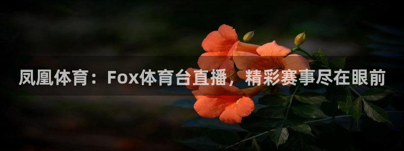 凤凰体育：Fox体育台直播，精彩赛事尽在眼前