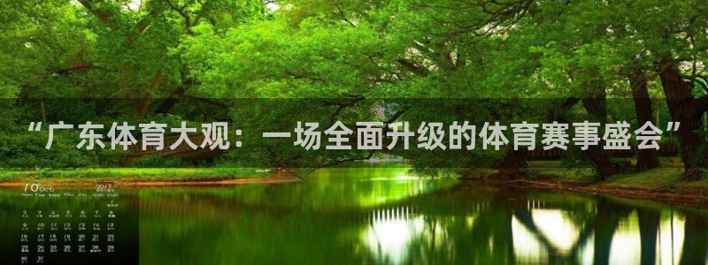 “广东体育大观：一场全面升级的体育赛事盛会”