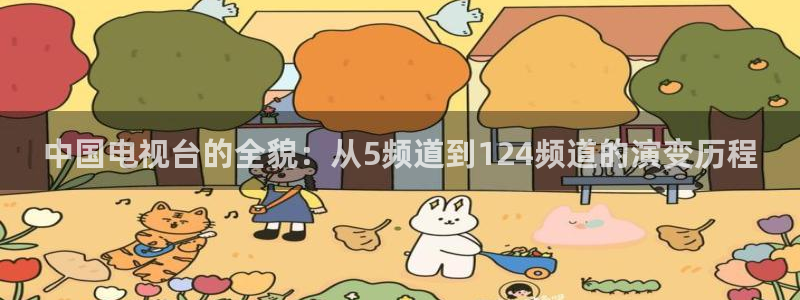 中国电视台的全貌：从5频道到124频道的演变历程