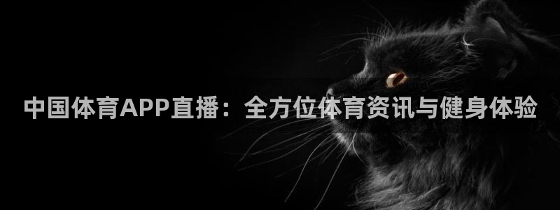 中国体育APP直播：全方位体育资讯与健身体验